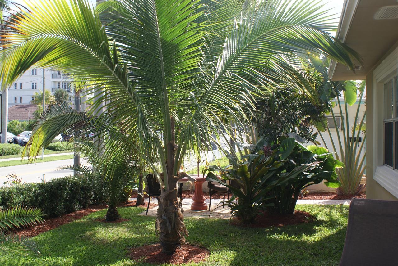 Atlantic Shores Vacation Villas Palm Beach Shores Ngoại thất bức ảnh